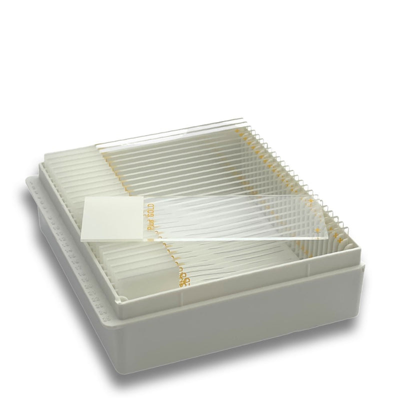 Superfrost plus gold microscope slides