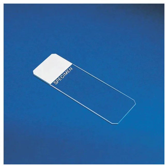 Superfrost microscope slides, clipped corner