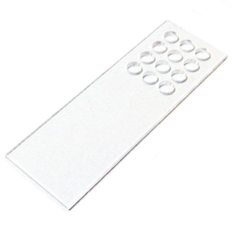 Plexiglass microscope slides