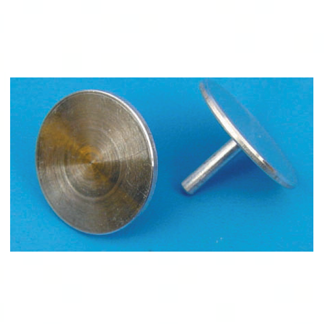 SEM specimen mount for AMRAY 1000/1200, pin mount