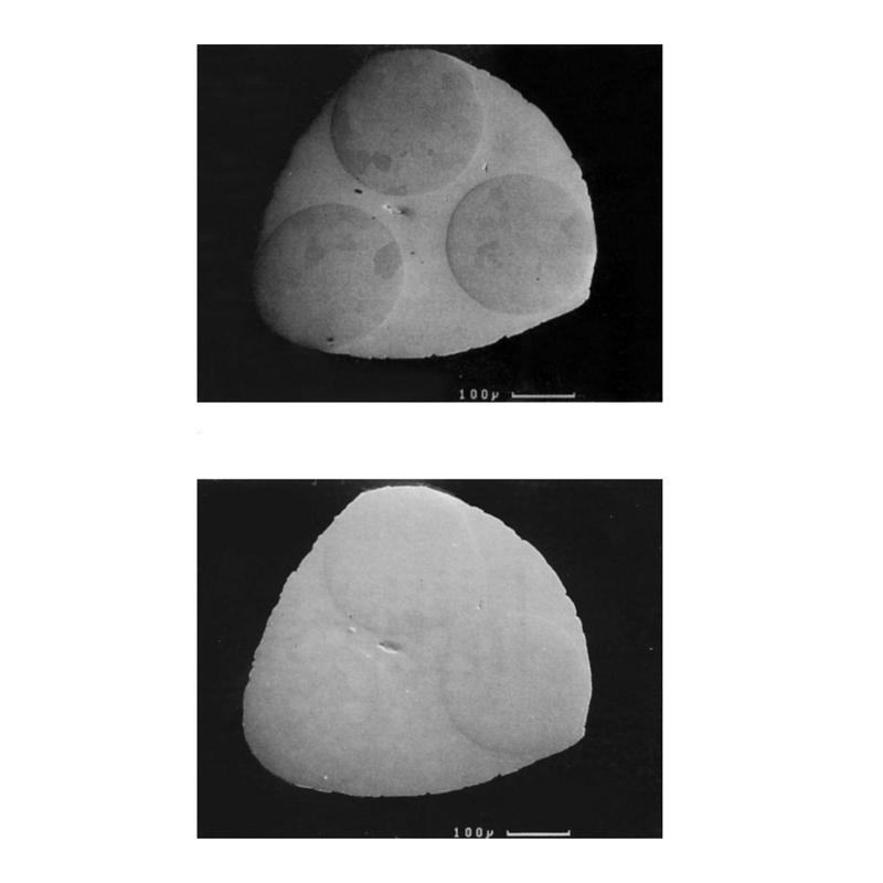 BSE reference standards
