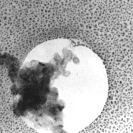 Combined test specimen