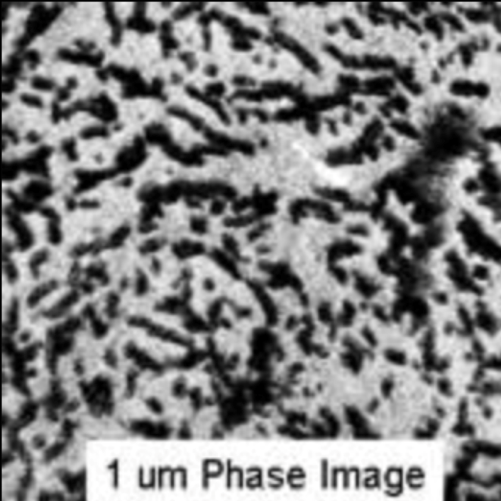 Phase imaging test specimen