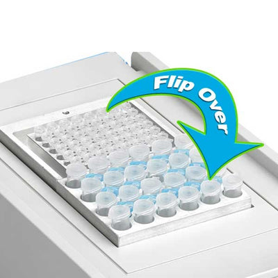 EMS MyBlock I and II digital dry baths