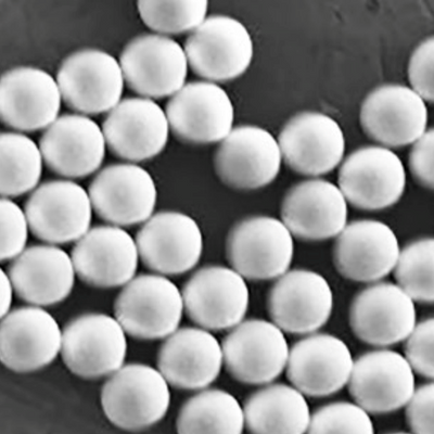 Streptavidin coated fluorescent magnetic microparticles