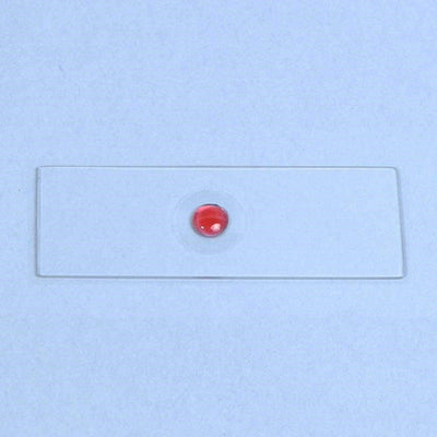 Microscope slides, single cavity, 1.25mm thick