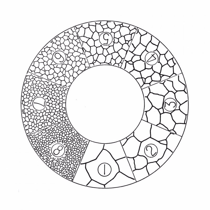 G41 eyepiece reticles, ASTM grain sizing austenite