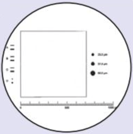 G44 eyepiece reticles, metallurgical (EMS)