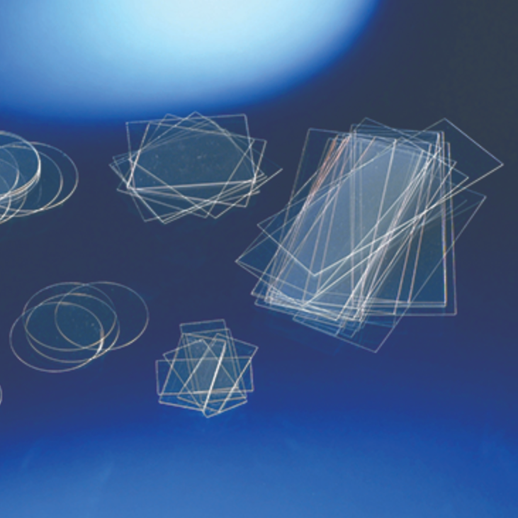 Thermanox coverslips, circular