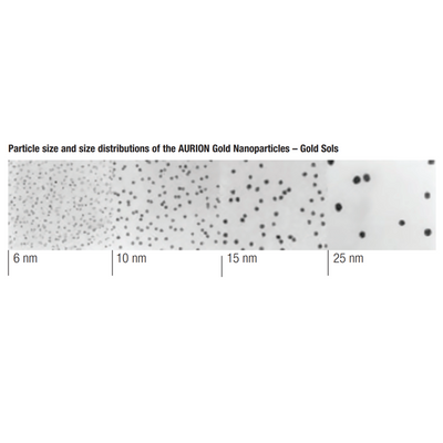 Aurion gold nanoparticles, carboxyl functionalised