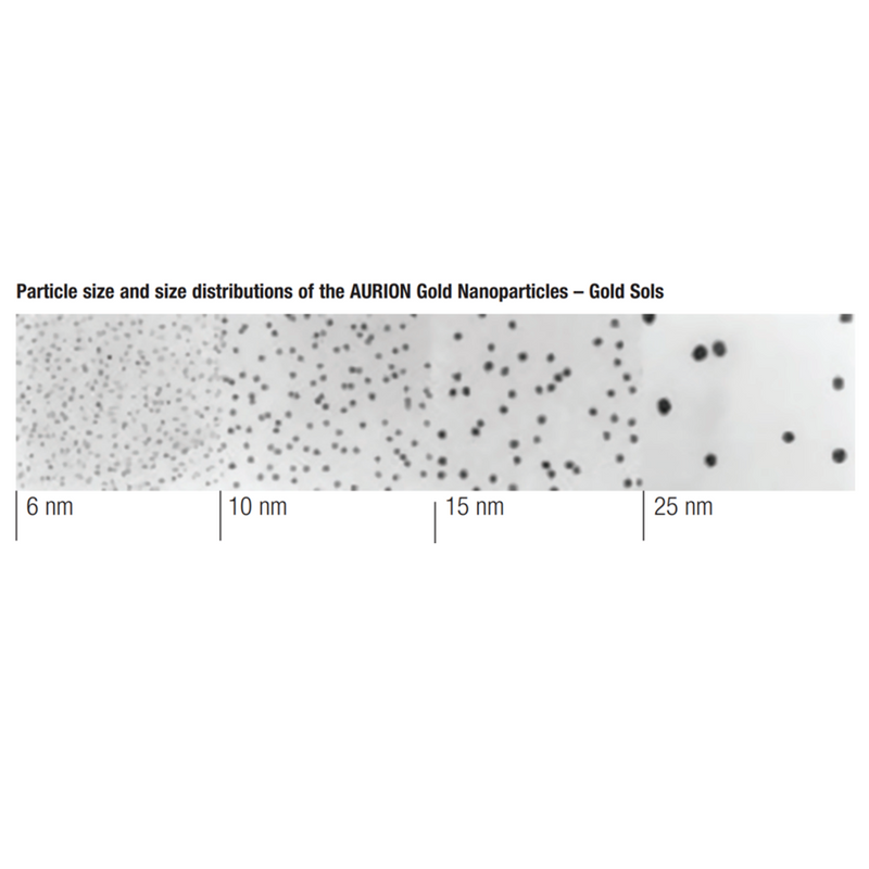 Aurion gold nanoparticles, carboxyl functionalised