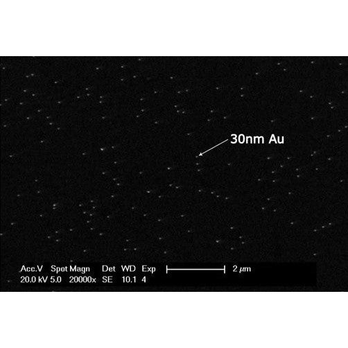 Highly uniform 30nm gold spheres on vitreous carbon