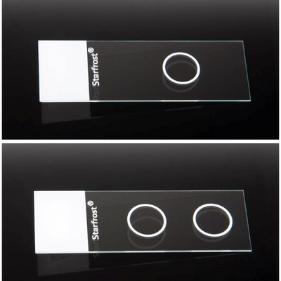 Knittel StarFrost microscope slides, CYTO