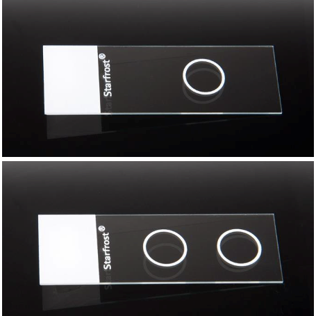 Knittel StarFrost microscope slides, CYTO