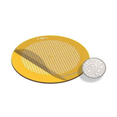 EMS holey carbon coated grids