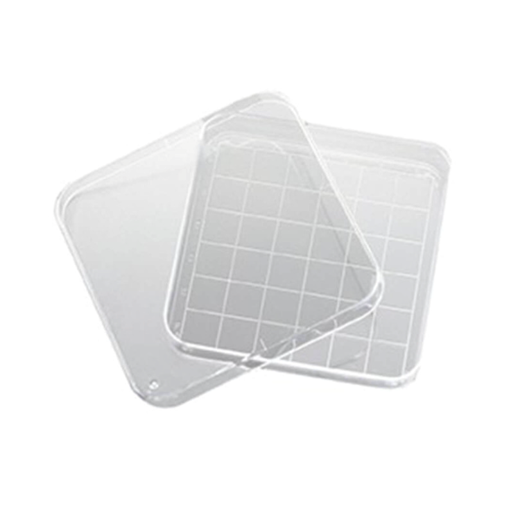 Petri dishes, square with grid