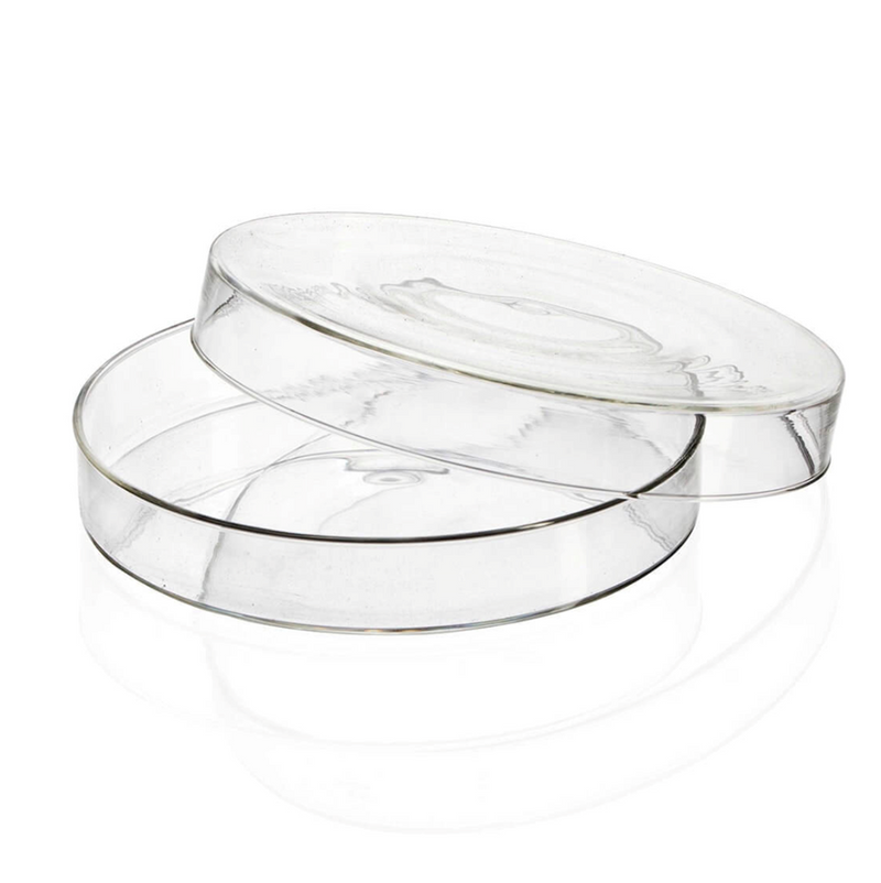 Glass petri dishes