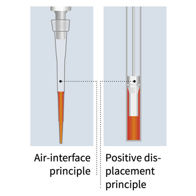 BRAND Transferpettor digital positive displacement pipettes