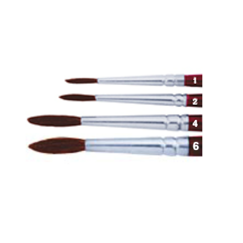 Camel hair brushes