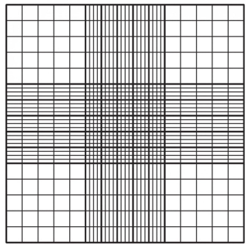 Neubauer counting chambers