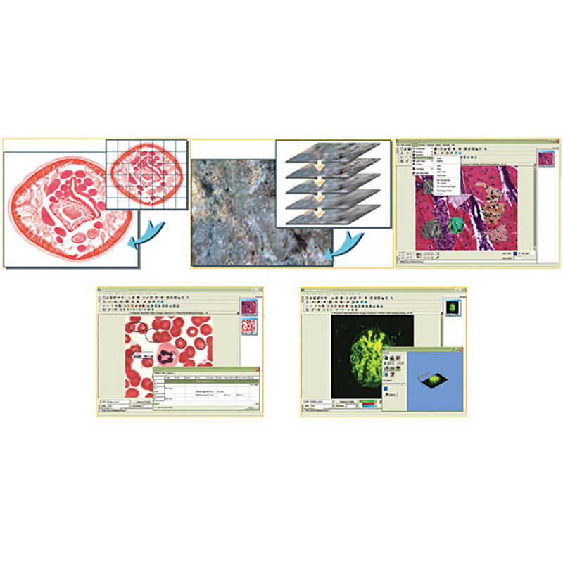 Motic digital microscope camera software packages