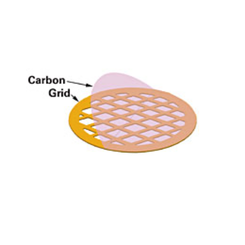 Carbon film coated grids