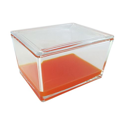 Wheaton microscope slide staining dish with cover