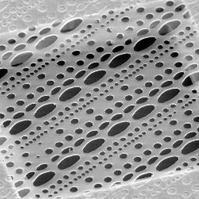 Quantifoil Multi A holey carbon coated grids