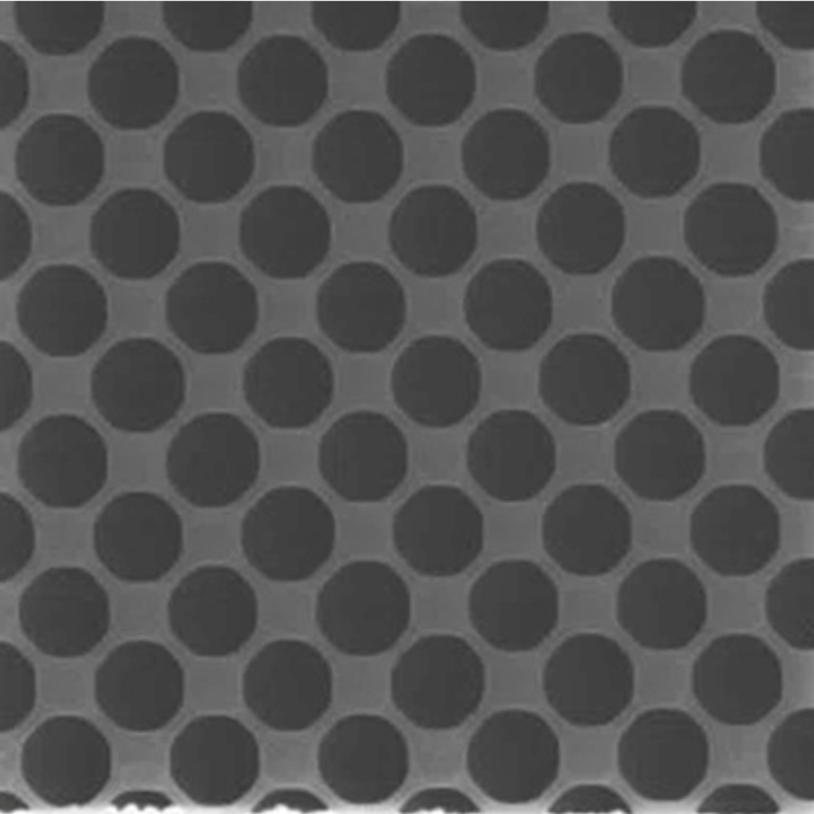 Quantifoil R 1/1 holey carbon film coated grids