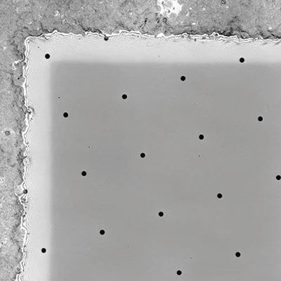 Quantifoil R 2/1 holey SiO2 film coated grids