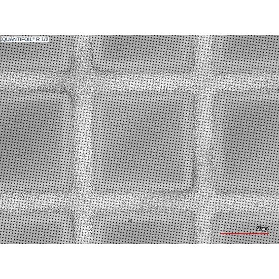 Quantifoil R 1/2 holey carbon film coated grids