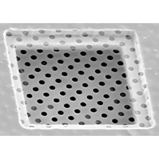 Quantifoil R 3/3 holey carbon film coated grids