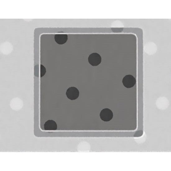 Quantifoil R 5/10 holey carbon film coated grids