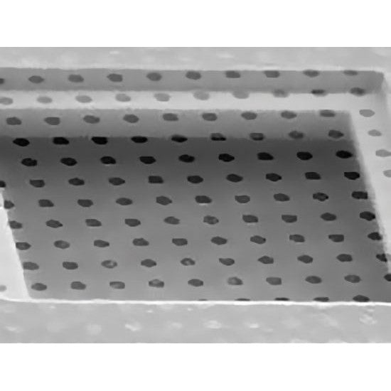 Quantifoil R 3/5 holey carbon film coated grids