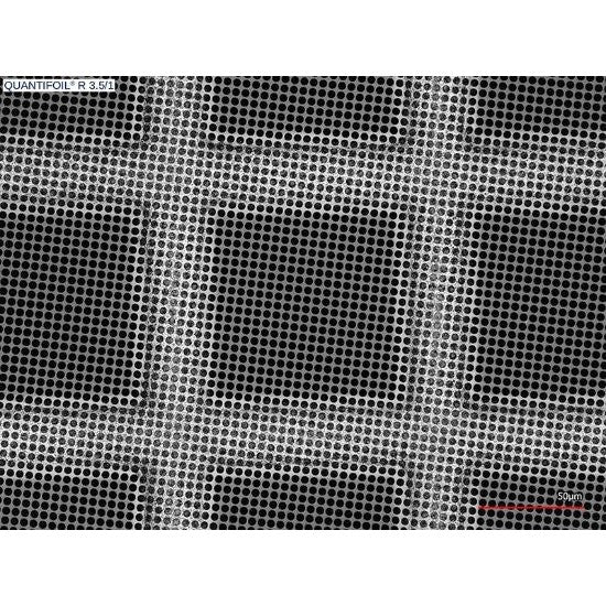 Quantifoil R 3.5/1 holey carbon film coated grids