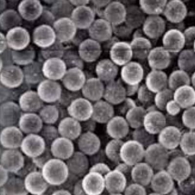 Carboxyl magnetic microparticles