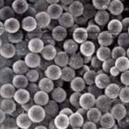 Carboxyl magnetic microparticles