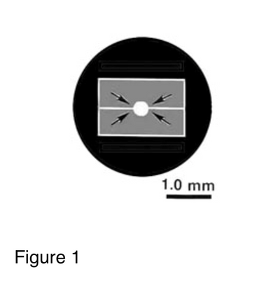 MAG*I*CAL ultimate calibration standard for TEM