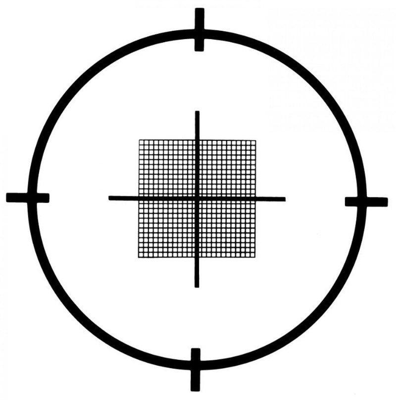 S29 stage micrometer, counting grid