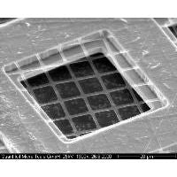 Quantifoil S 7/2 holey carbon coated grids