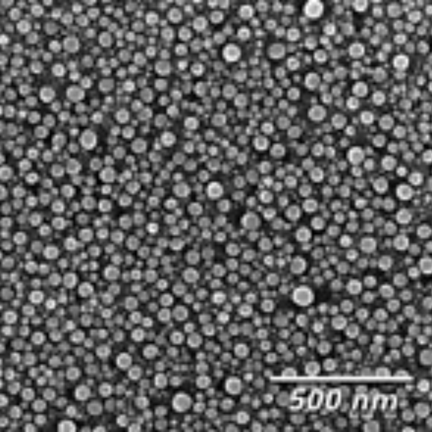 SEM high magnification resolution grid standards, tin on carbon disc ...