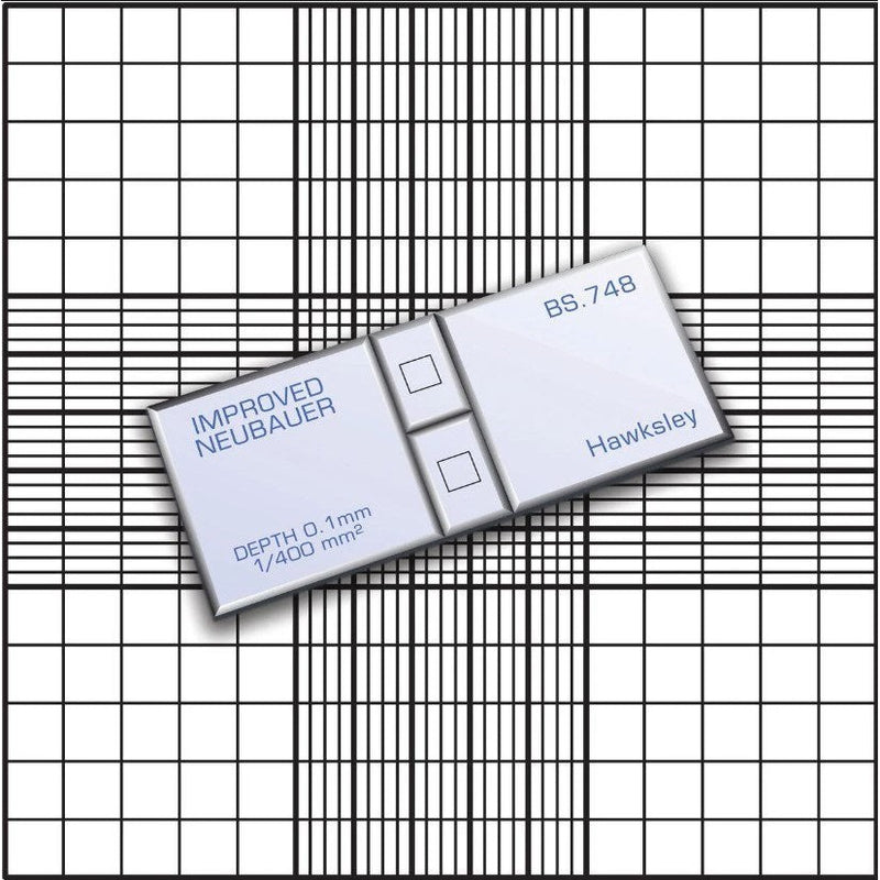 Neubauer improved, Haemocytometer counting chambers