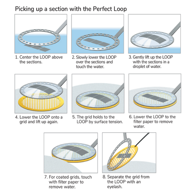 Light microscopy perfect loop set, ultra thin