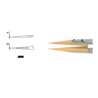 Dumont replaceable Buxus tip tweezers, WA1 handle (EMS)