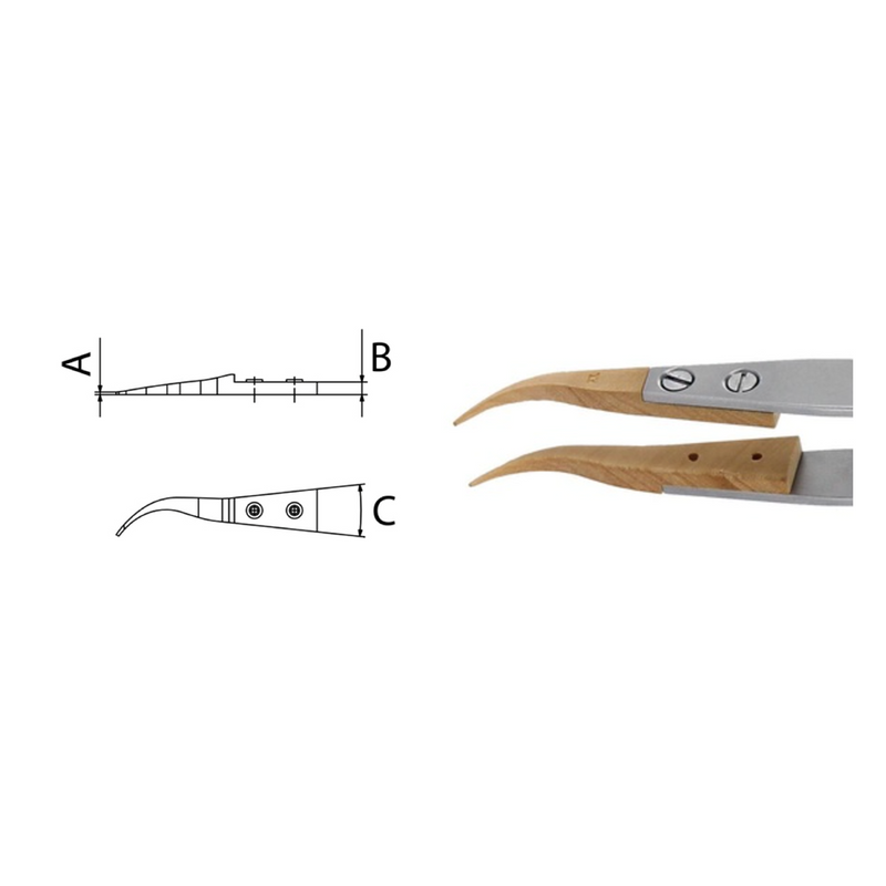 Dumont replaceable Buxus tip tweezers, WA1 handle (EMS)