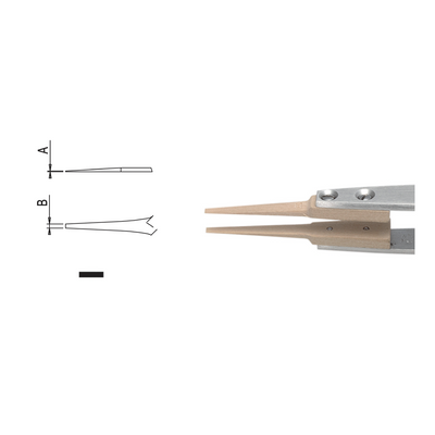 Dumont replaceable Buxus tip tweezers, WA1 handle (EMS)