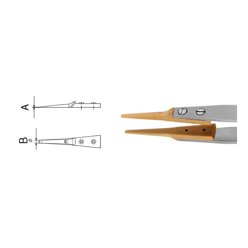 Dumont replaceable Buxus tip tweezers, WA1 handle (EMS)