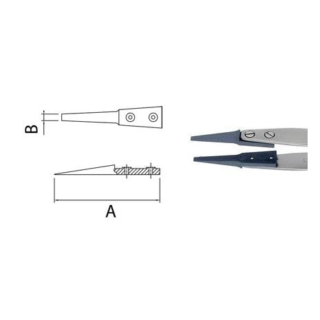 Dumont replaceable STD tip tweezers, WA1 handle (EMS)
