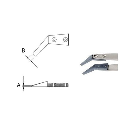 Dumont replaceable STD tip tweezers, WA1 handle (EMS)