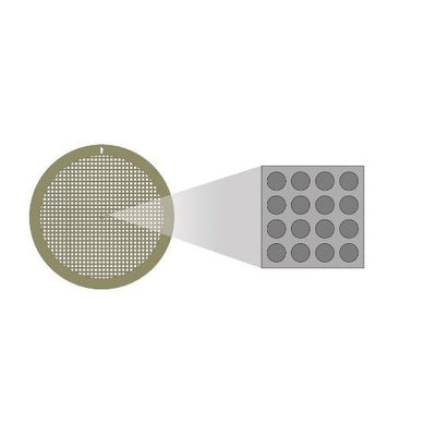 C-flat holey carbon coated grids for cryo-TEM